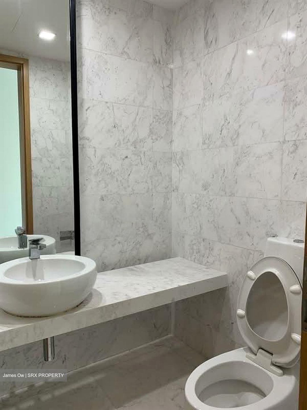 The Solitaire (D10), Condominium #560524221